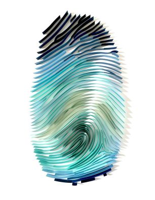 fingerprint-art-identity